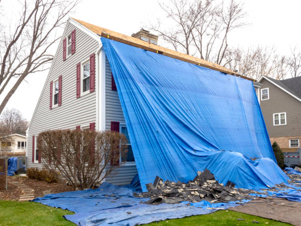 Best Attic Cleanout  in Harbor Springs, MI
